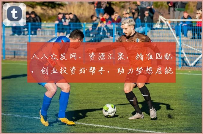 八八众发网，资源汇聚，精准匹配，创业投资好帮手，助力梦想启航
